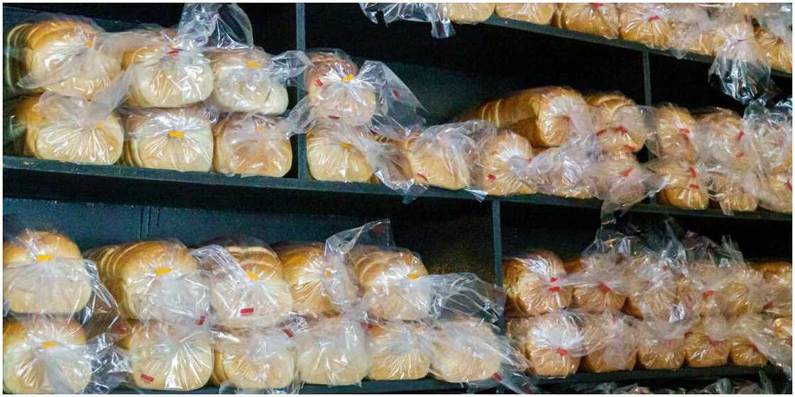 Bakers Association Increases Bread Prices by 30% Amid Looming CBN Ban on Wheat, Sugar Bakers Association Increases Bread Prices by 30% Amid Looming CBN Ban on Wheat, Sugar