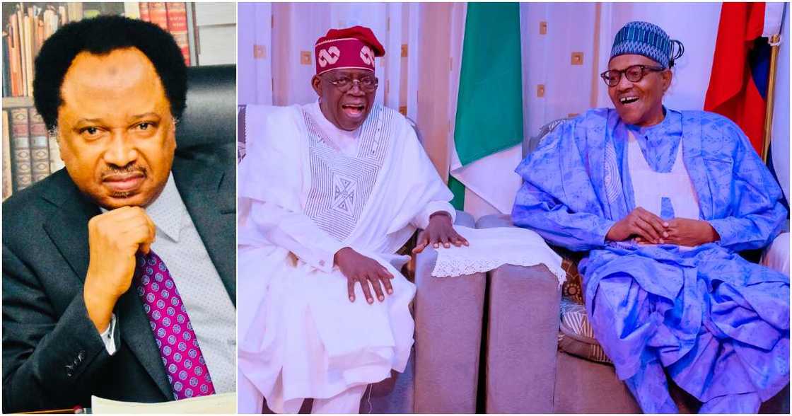 Shehu Sani, Bola Tinubu da Muhammadu Buhari Shehu Sani, Bola Tinubu da Muhammadu Buhari