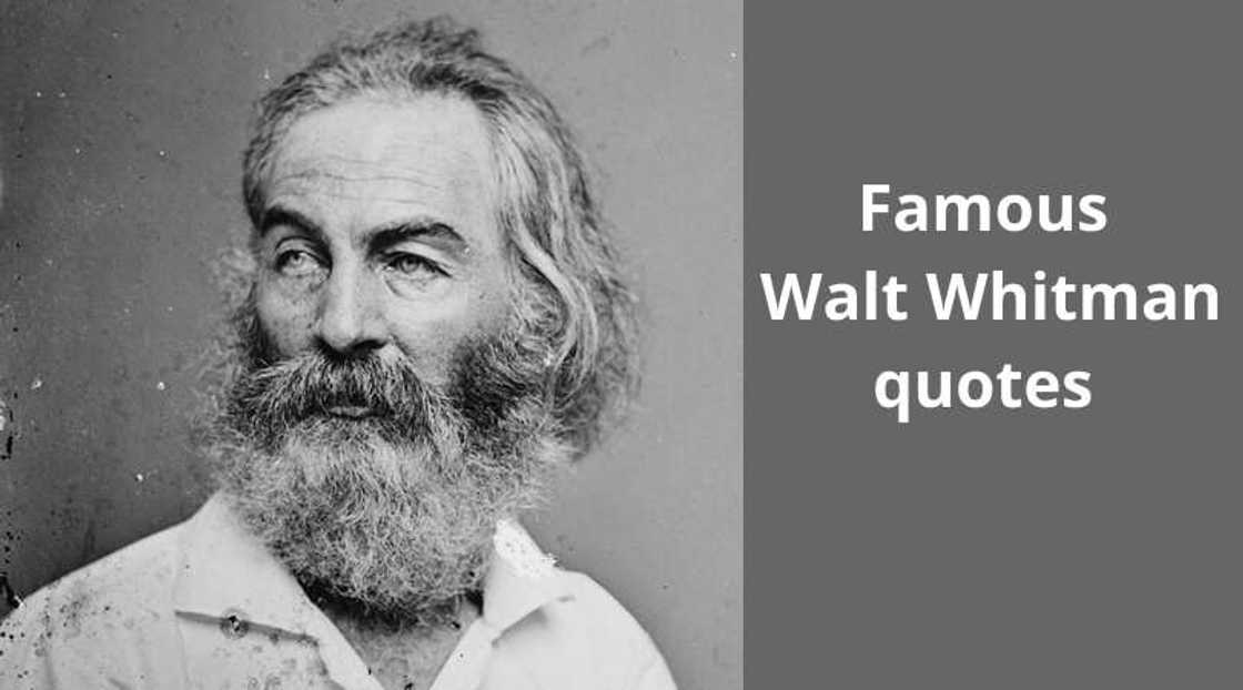 Walt Whitman quotes