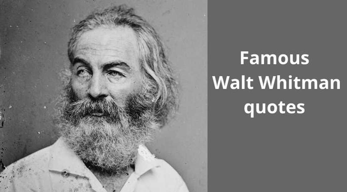 Walt Whitman quotes Walt Whitman quotes