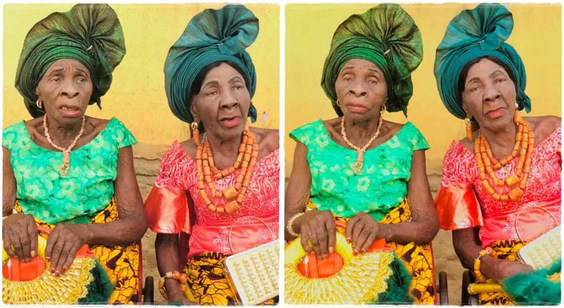 Photos show twins who are said to be 138 years old. Photos show twins who are said to be 138 years old.