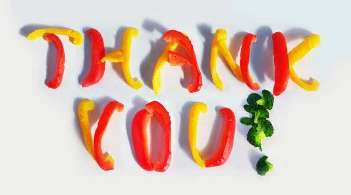 thank you quotes thank you quotes