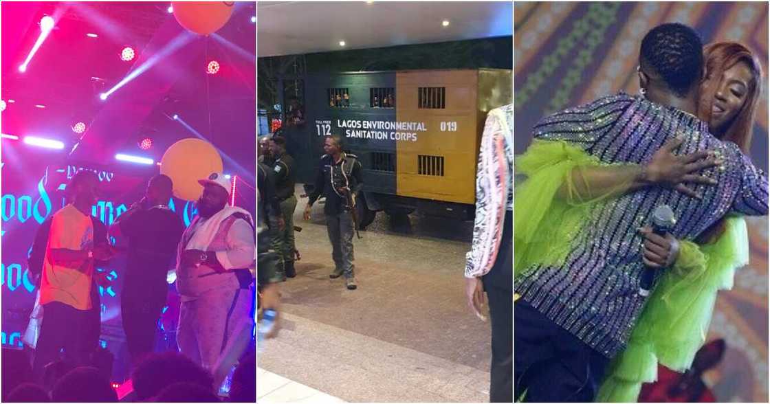 detty december detty december