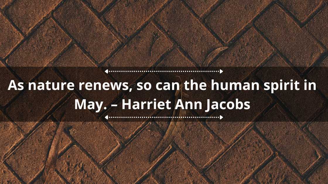 Best inspirational May quotes Best inspirational May quotes