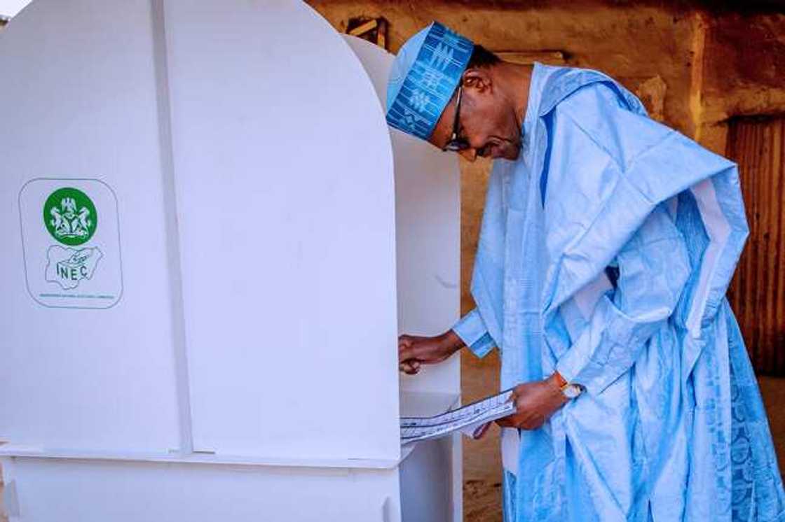 Buhari Buhari