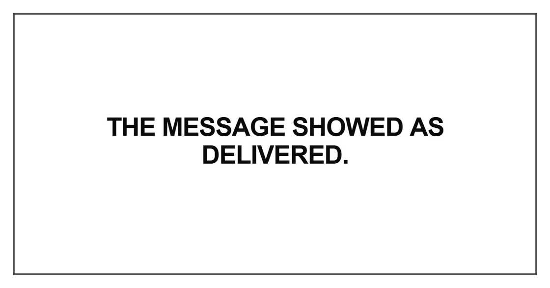 The message showed as delivered The message showed as delivered