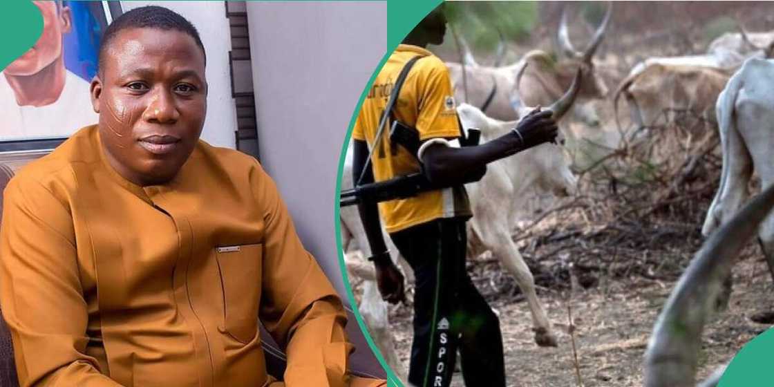 Farmers, Fulani herdsmen, Oyo, Ogun, Sunday Igboho, Seyi Makinde, Dpo Abiodun, police, DSS Farmers, Fulani herdsmen, Oyo, Ogun, Sunday Igboho, Seyi Makinde, Dpo Abiodun, police, DSS