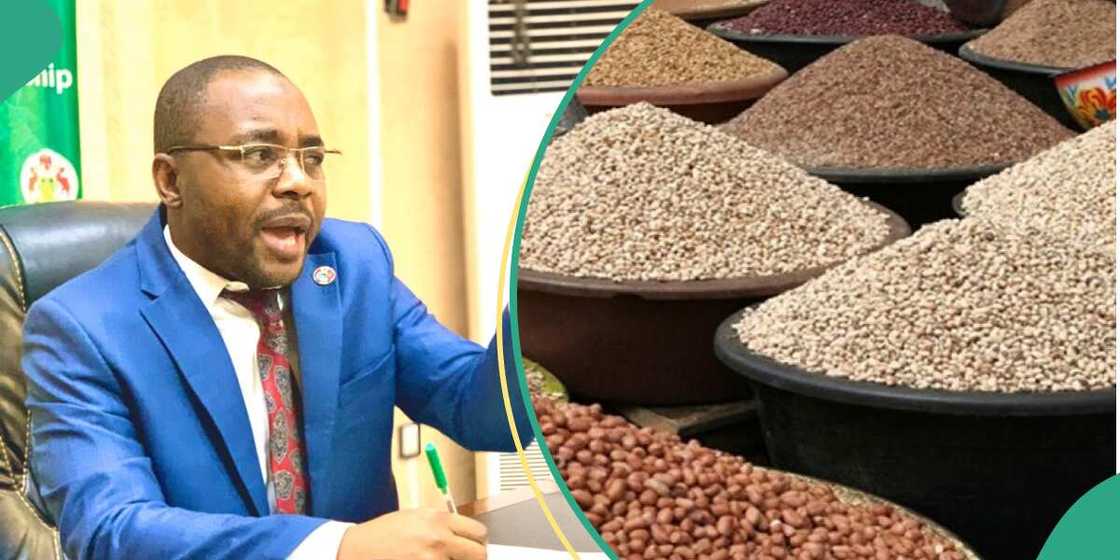 Gwamnatin Kano za ta kai samame runbunan abinci yayin da ake cikin wani hali Gwamnatin Kano za ta kai samame runbunan abinci yayin da ake cikin wani hali