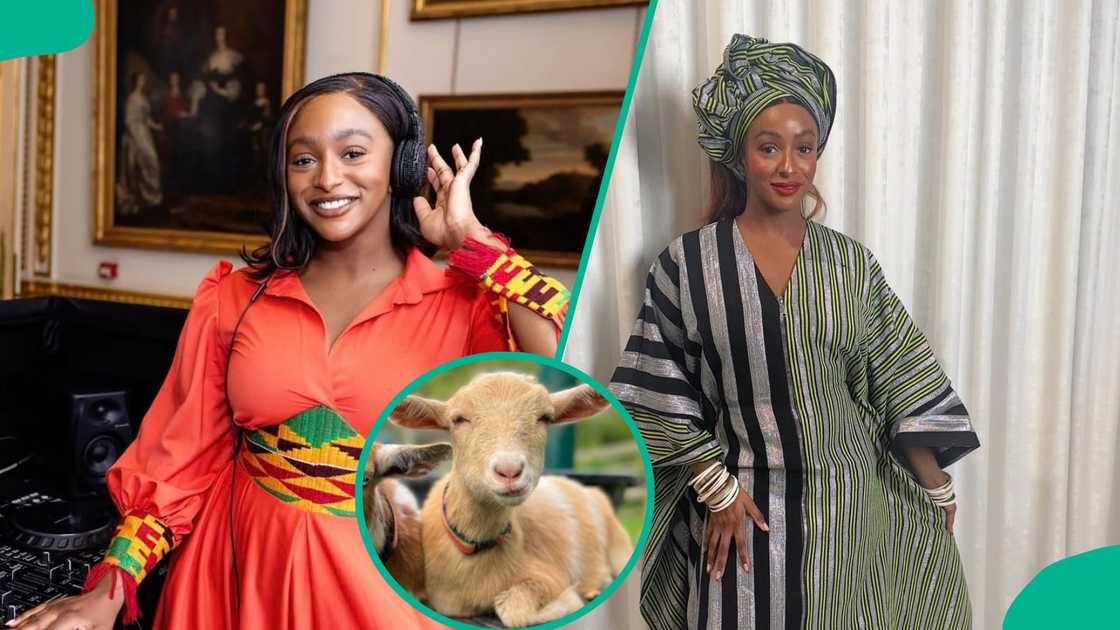 DJ Cuppy shares her plan to leave social media maid backlash trailing her video