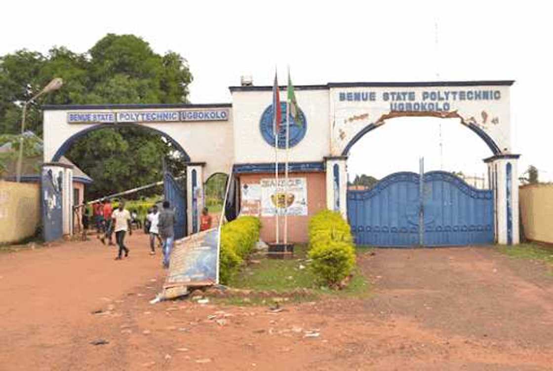 Adah Echobu Chris: Protest in Benue as Suspected Armed Robbers Shoot Senior Lecturer Dead Adah Echobu Chris: Protest in Benue as Suspected Armed Robbers Shoot Senior Lecturer Dead