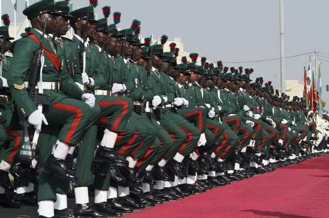 Nigerian army forces Nigerian army forces
