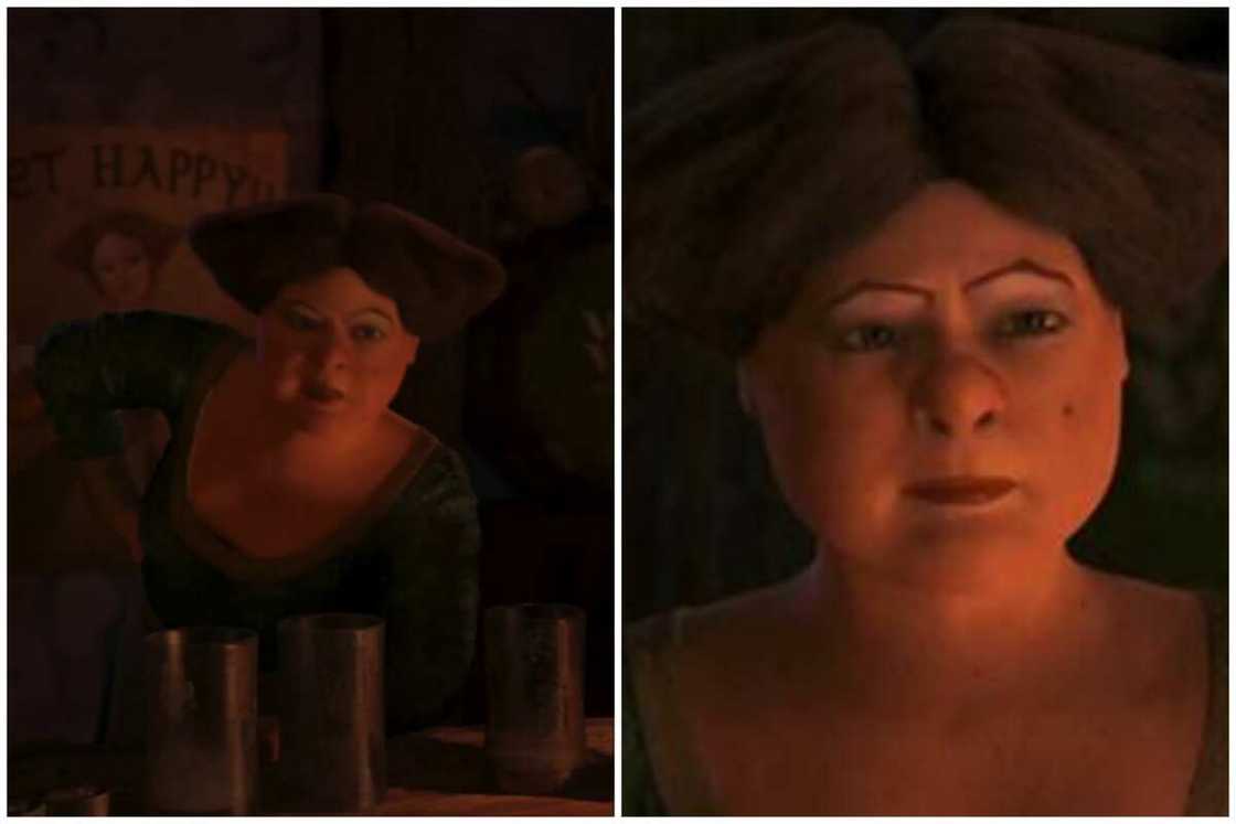 Shrek female characters