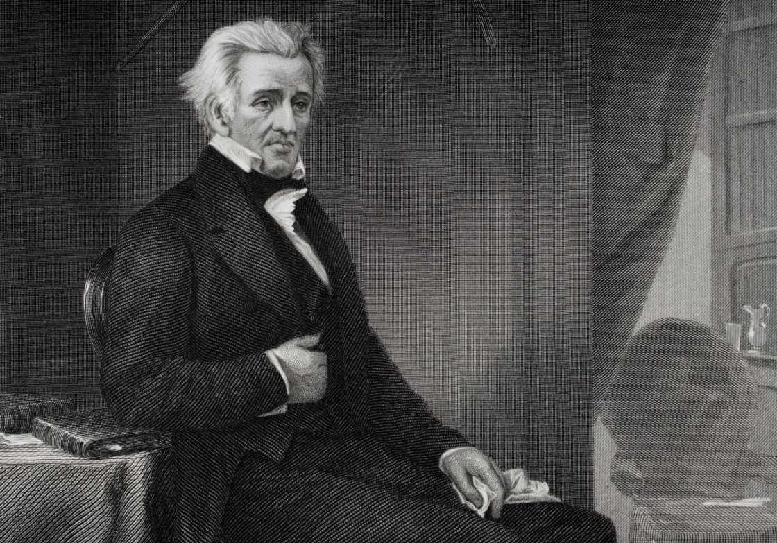 Andrew Jackson painting.