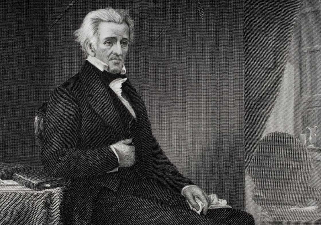 Andrew Jackson painting. Andrew Jackson painting.
