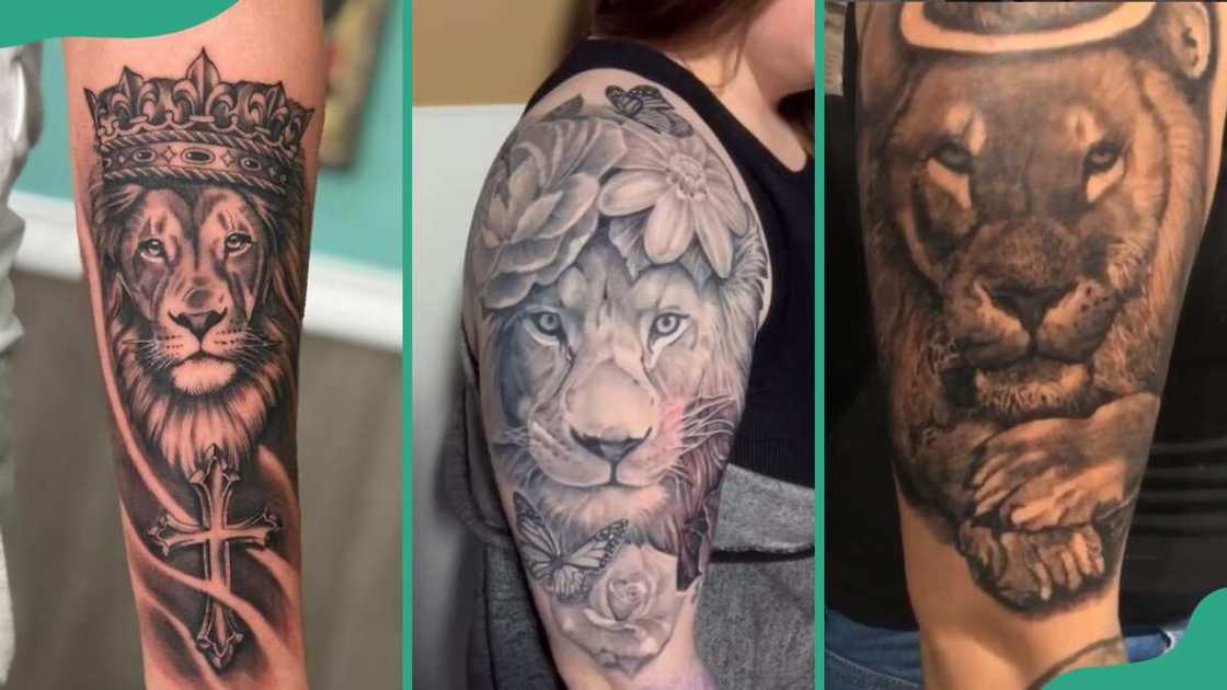 Lion tattoos Lion tattoos