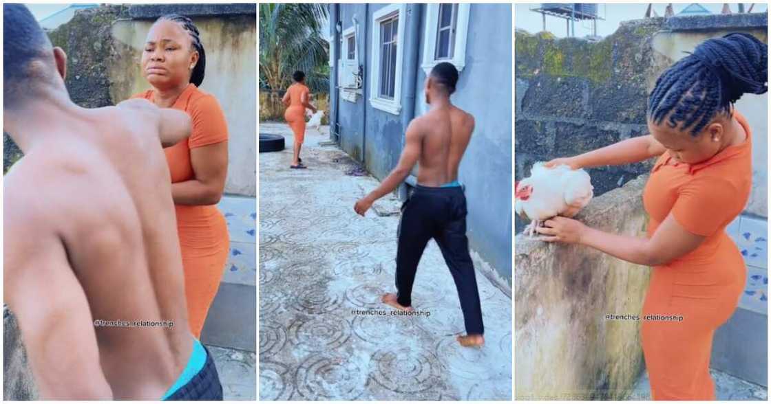 Nigerian lady, chicken, boyfriend Nigerian lady, chicken, boyfriend