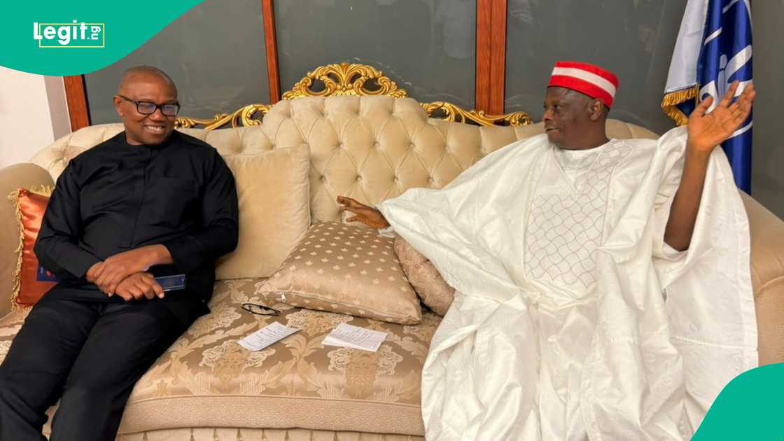 Peter Obi’s screening leads to hopeful talks with Kwankwaso for 2027