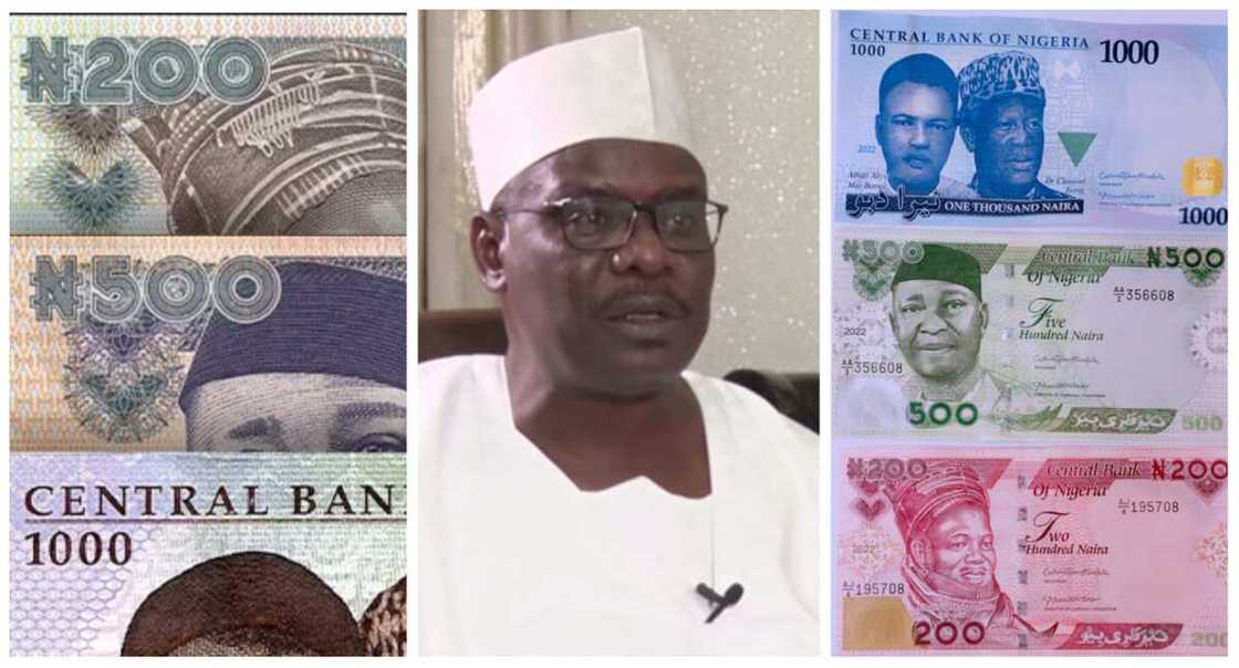 Mohammed Ali Ndume Mohammed Ali Ndume