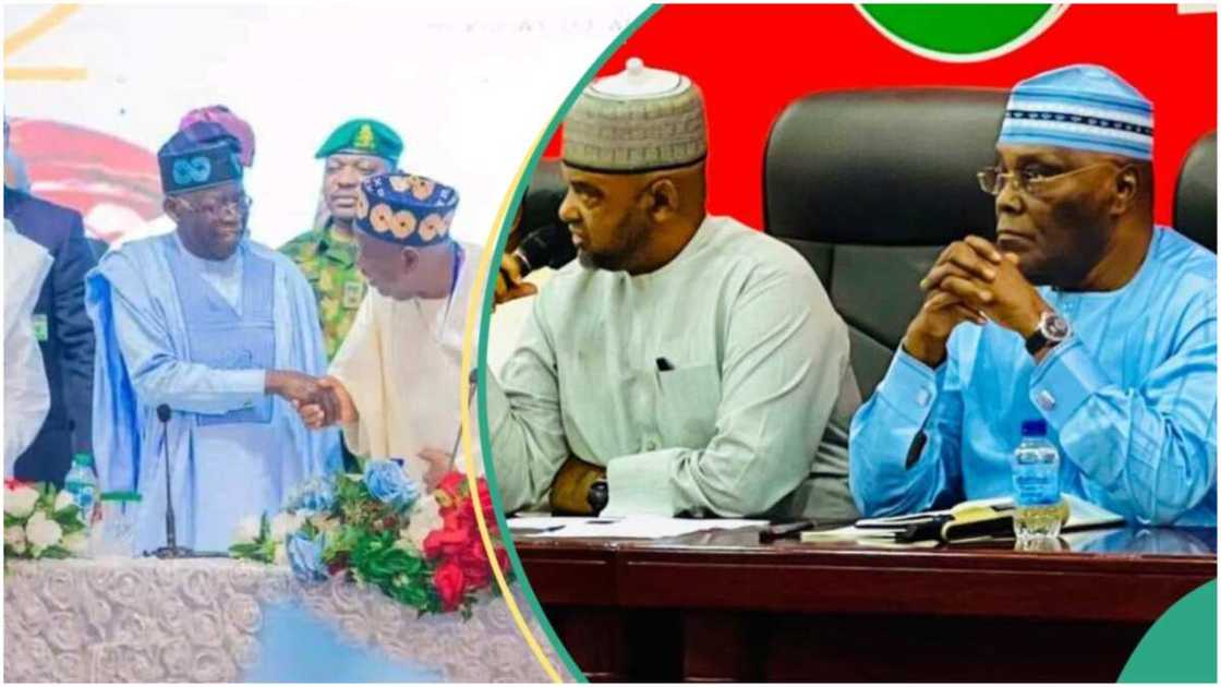 PDP/APC/Delta/Presidency/Senate PDP/APC/Delta/Presidency/Senate