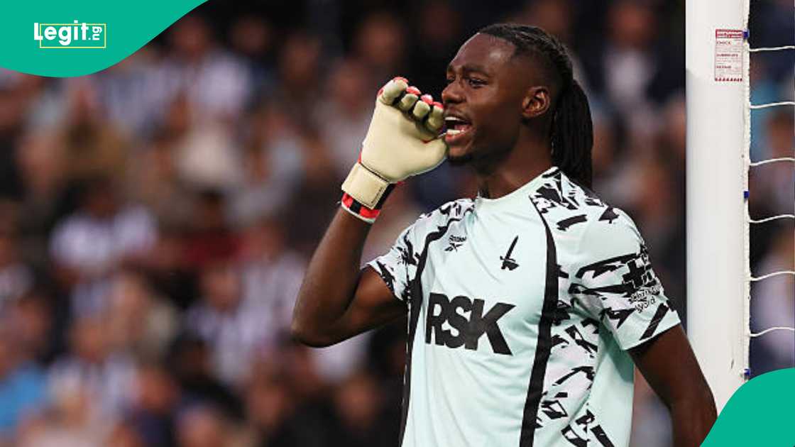 Arthur Okonkwo, Arsenal, Super Eagles, Nigeria, AFCON