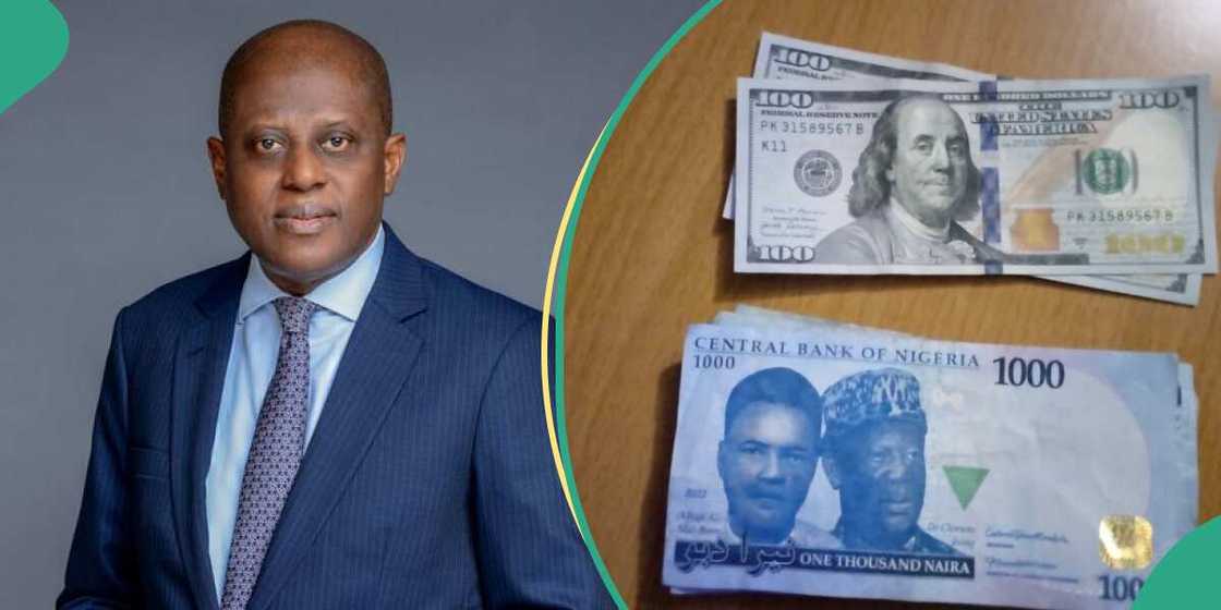 CBN sells dollars to BDCs amid naira's struggle CBN sells dollars to BDCs amid naira's struggle