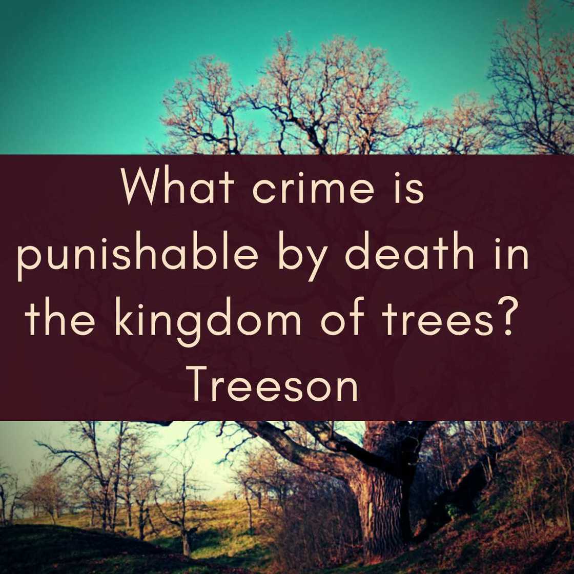 tree jokes tree jokes