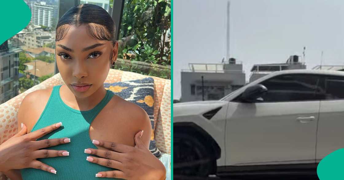 Sophia Egbueje shares her latest acquisition after being dragged. Sophia Egbueje shares her latest acquisition after being dragged.