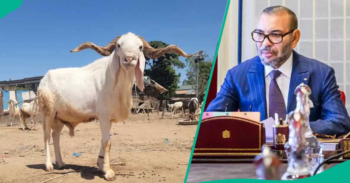 Sarkin Morocco ya hana yin layya Sarkin Morocco ya hana yin layya