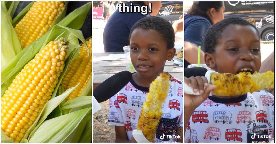 Tariq corn boy video, corn boy, viral corn boy video, latest on Tariq the corn boy Tariq corn boy video, corn boy, viral corn boy video, latest on Tariq the corn boy