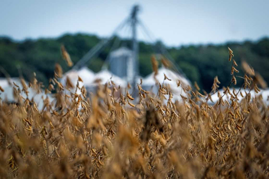 Farmers are a key political support base for President Donald Trump, but have been caught in the crossfire as Washington and Beijing traded barbs