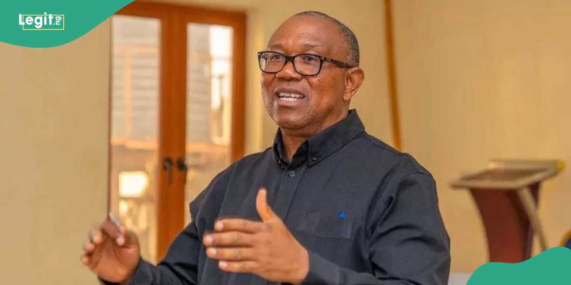 Peter Obi, 2023 polls, Labour Party