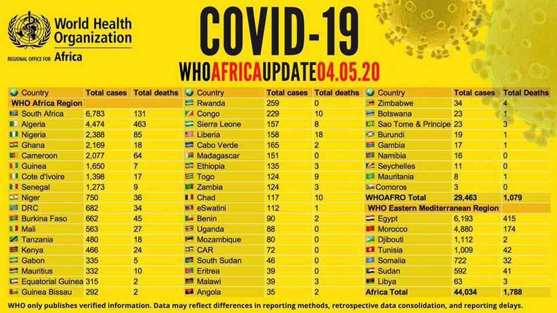 Coronavirus in Africa: WHO releases list of countries with highest cases, deaths Coronavirus in Africa: WHO releases list of countries with highest cases, deaths