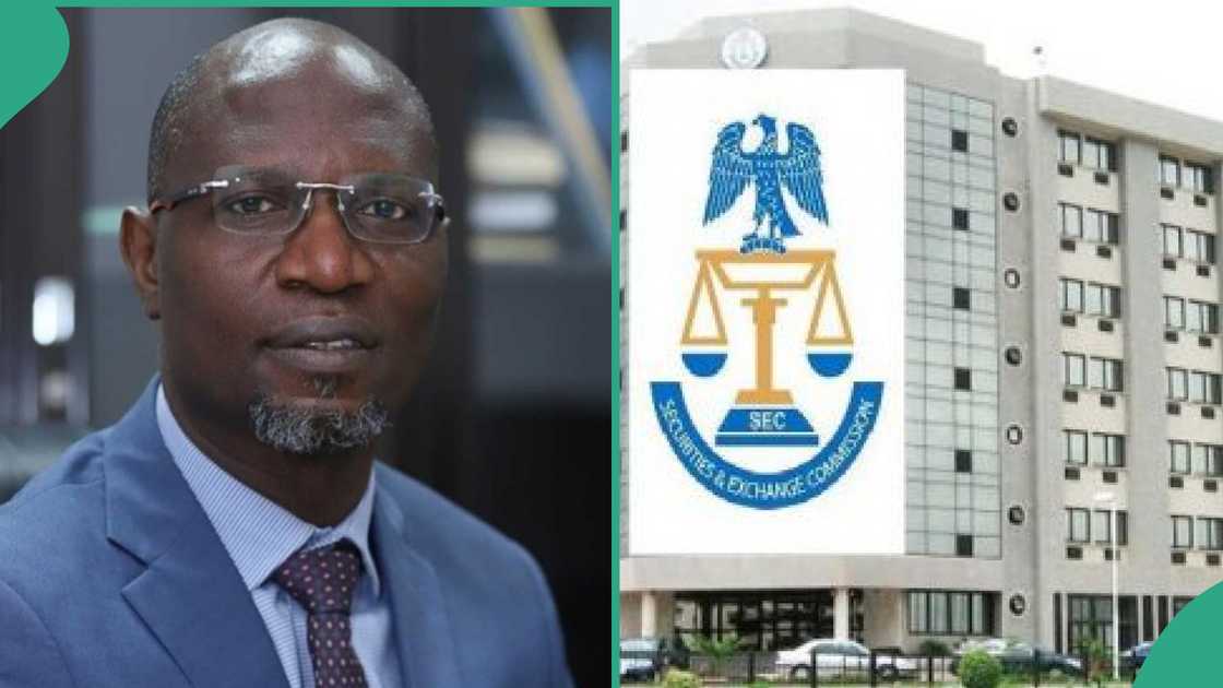 SEC declares war against Ponzi scheme operators, fraudsters in capital market