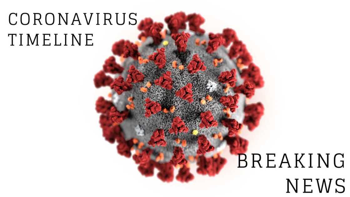 coronavirus coronavirus