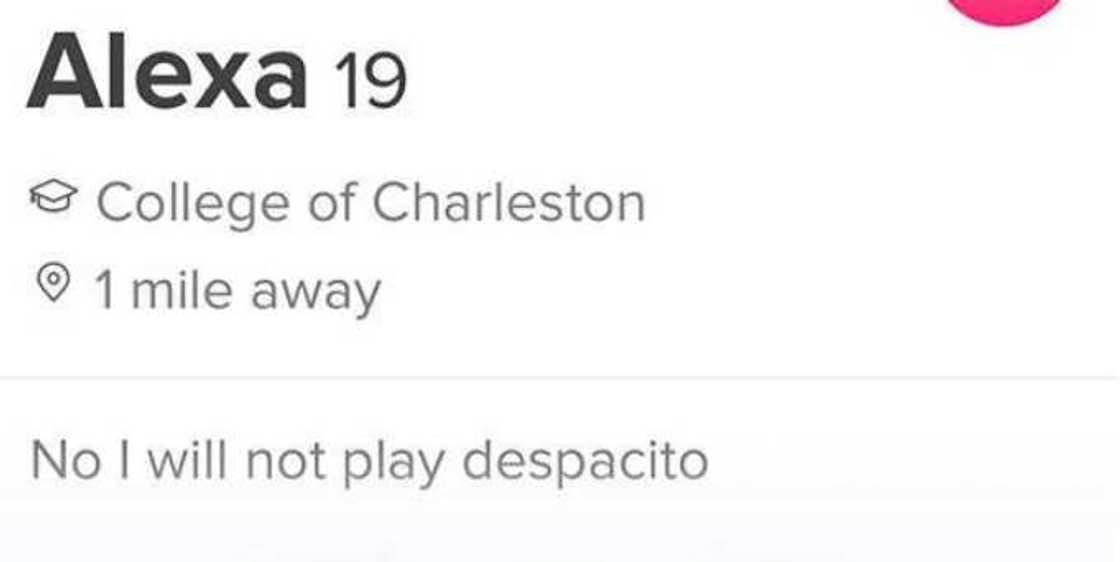 tinder bio