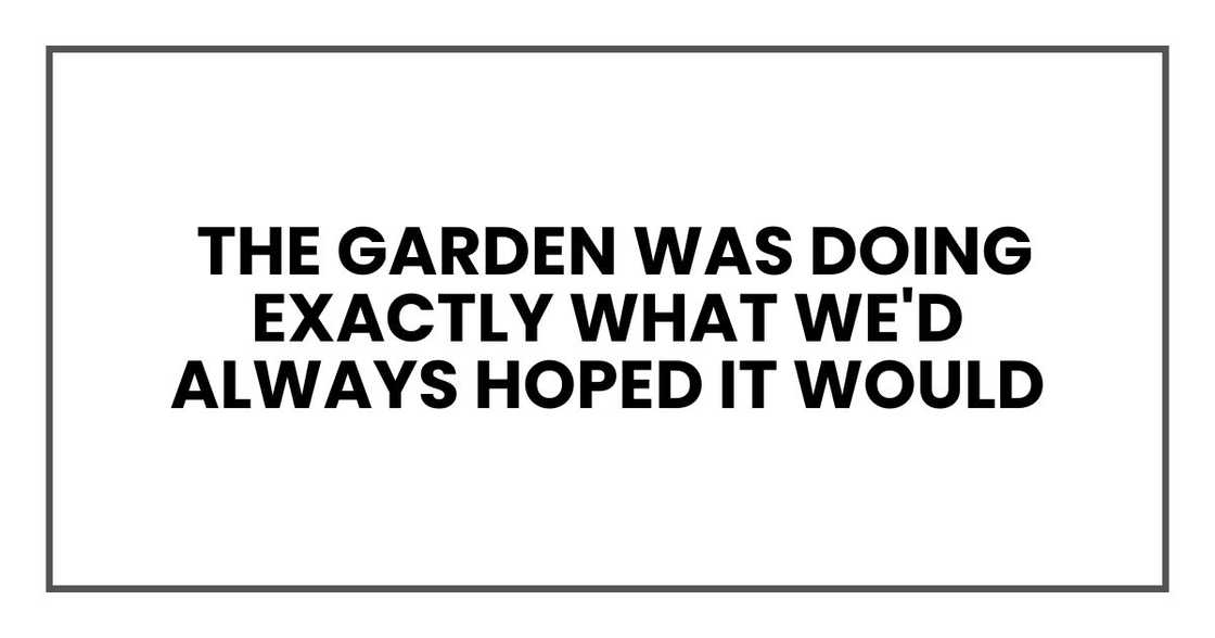 the garden was doing exactly what we'd always hoped it would