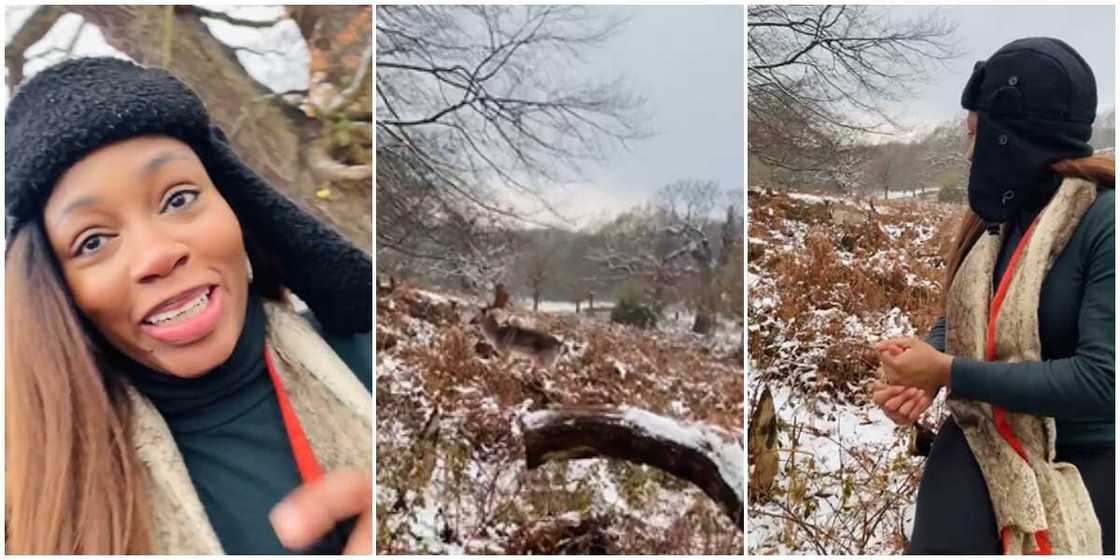 BBNaija's Khafi hilariously runs for dear life as she goes deer hunting in London