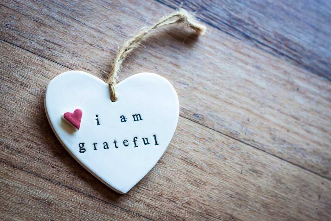 The best Bible verses on thanksgiving The best Bible verses on thanksgiving