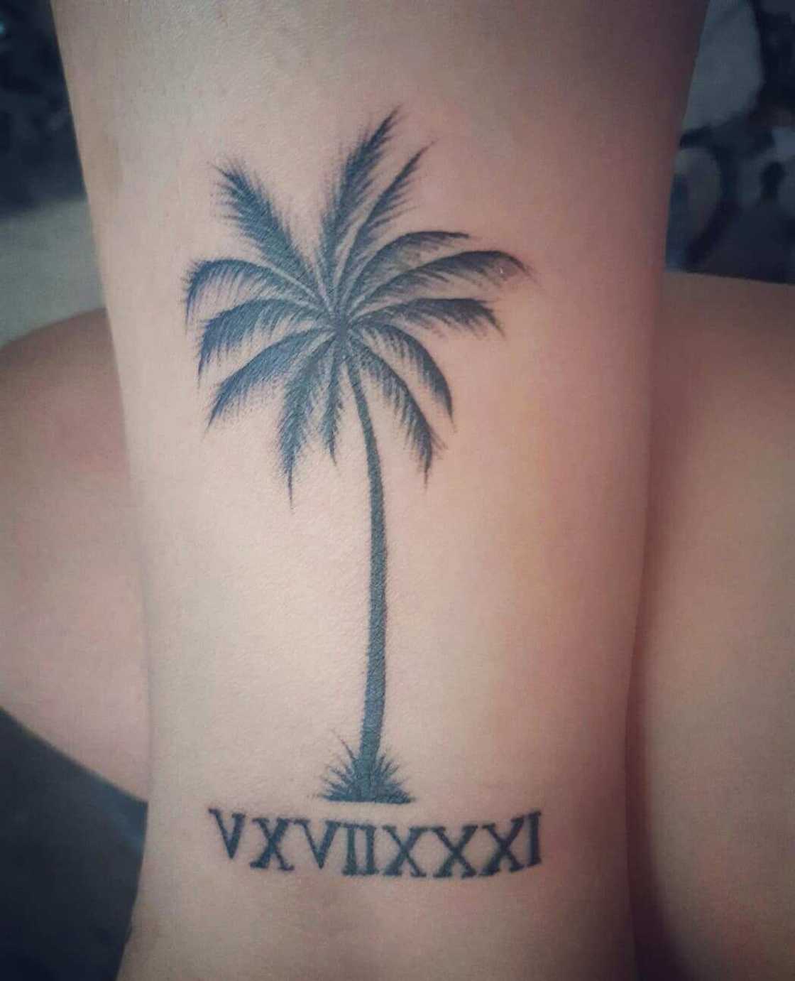 palm tree tattoo