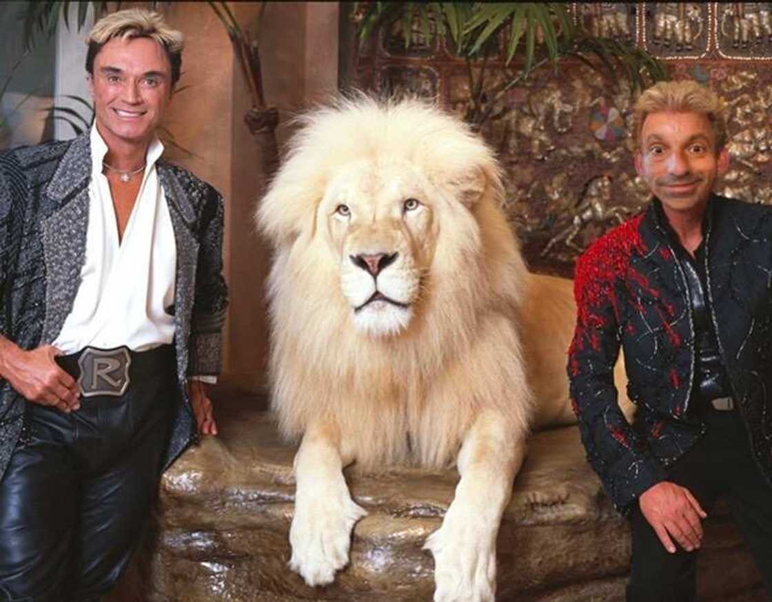 Vegas magicians Vegas magicians