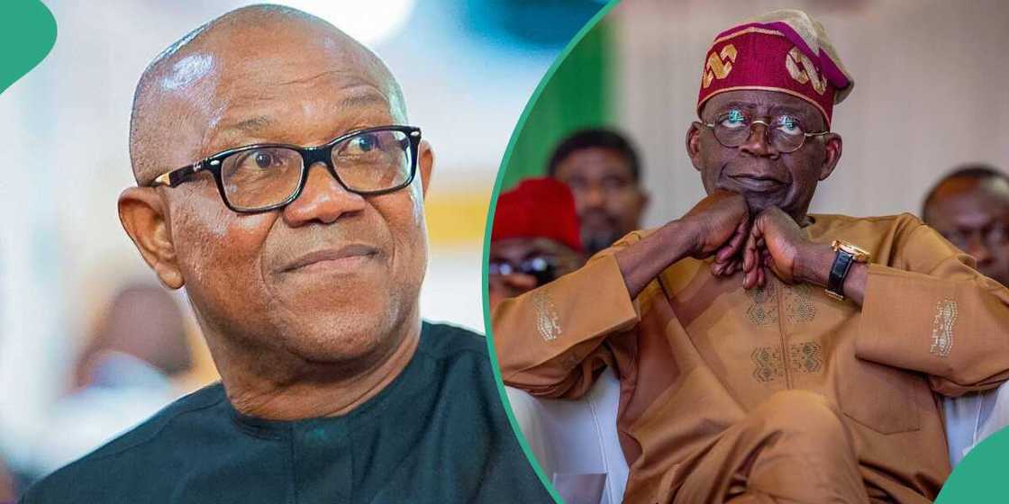 Tinubu criticised over economic hardship Tinubu criticised over economic hardship