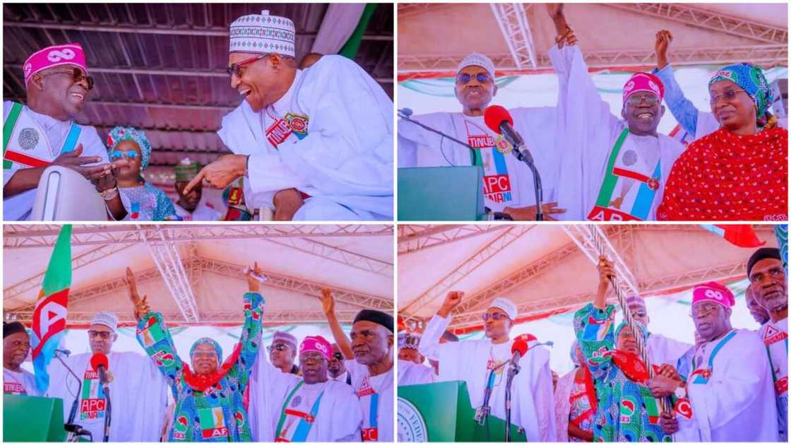 Tinubu in Adamawa/APC Presidential Rally/2023 General Election