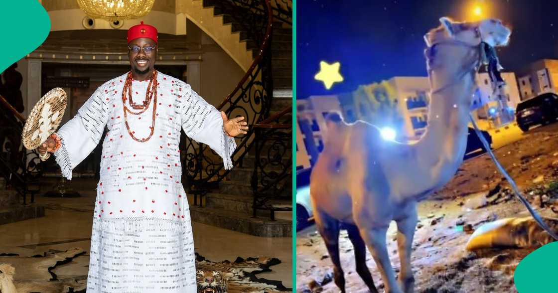 Obi Cubana’s 50th birthday party continues trending with Moroccan gift Obi Cubana’s 50th birthday party continues trending with Moroccan gift