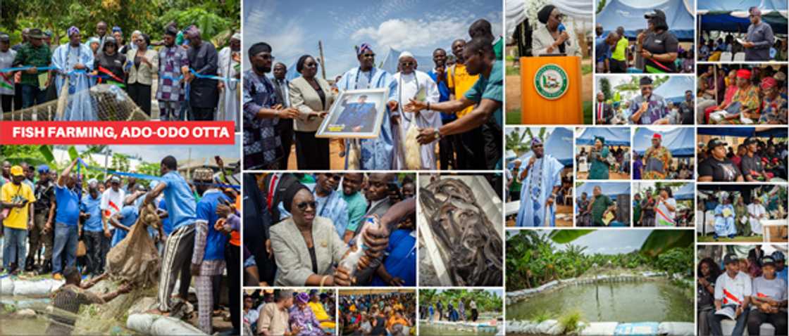 Farmers receive mechanised support and subsidies through OGSTEP