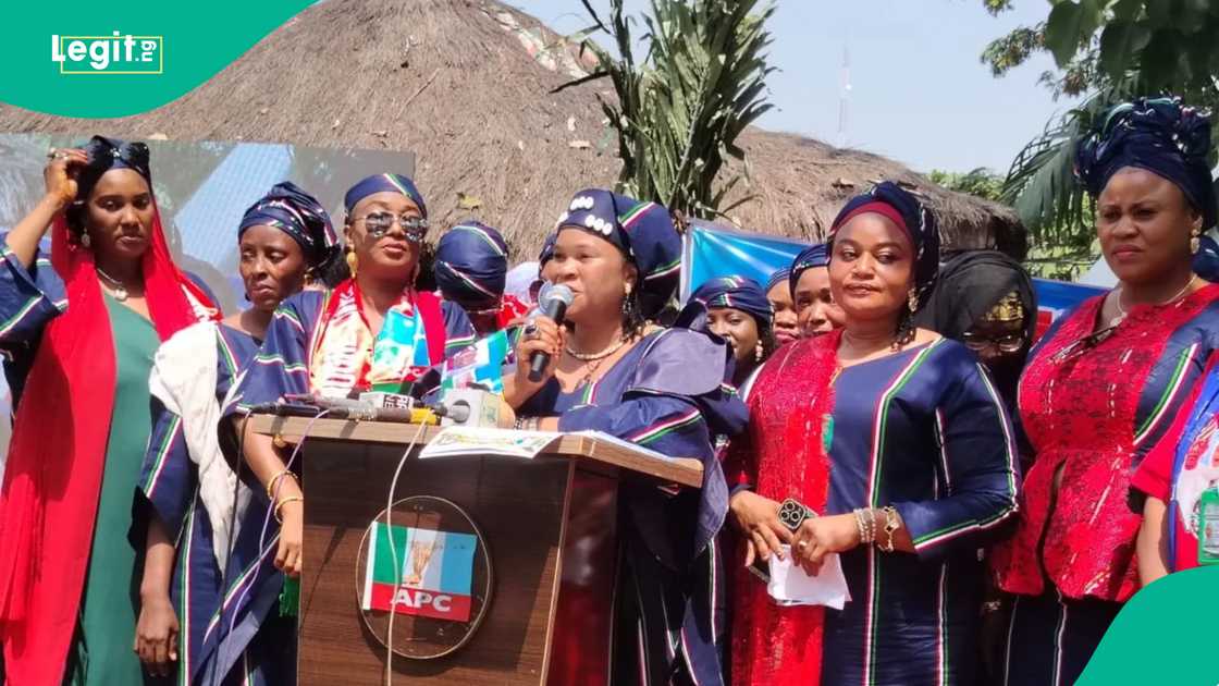 2027 presidential election, Tinubu vs Atiku, Ali Bukar Dalori, Adamawa 2027 election, APC North-East strategy, Kashim Shettima, Tinubu re-election bid