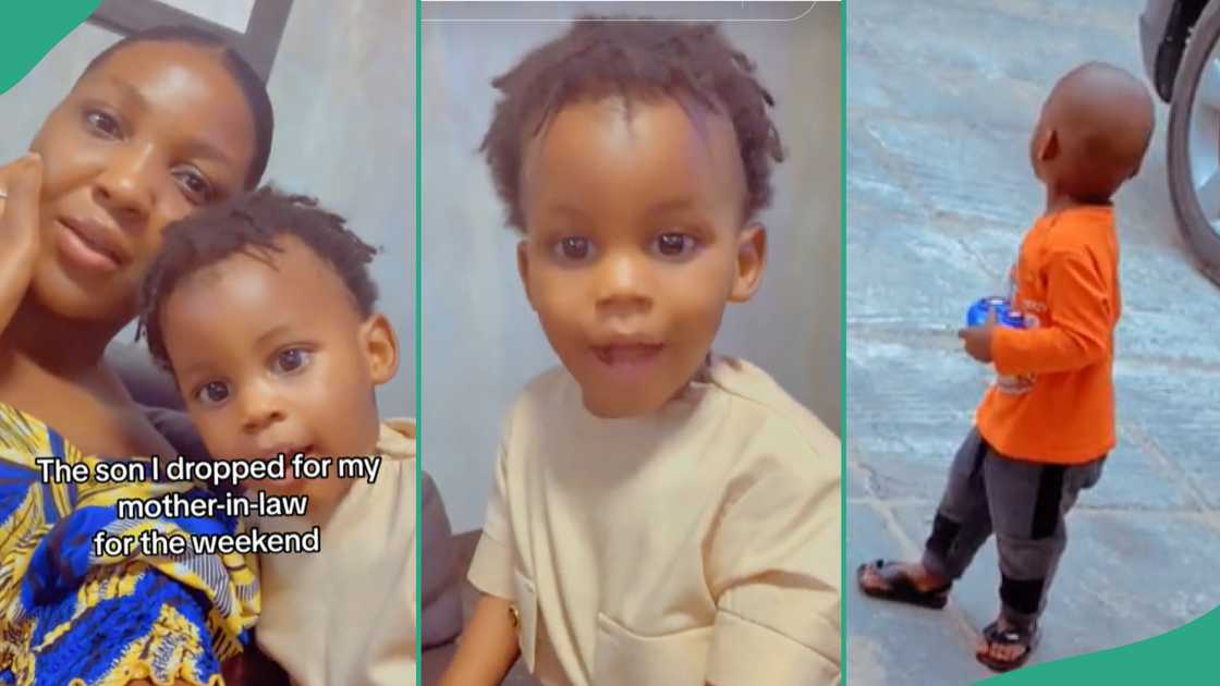Mother-in-law cuts son's hair. Mother-in-law cuts son's hair.