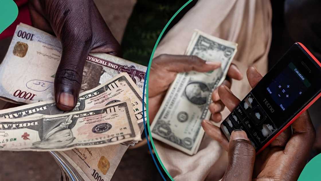 Data from FMDQ securities shows naira is recovering lost value against the US dollar amid the Central Bank of Nigeria's efforts to strengthen the currency.