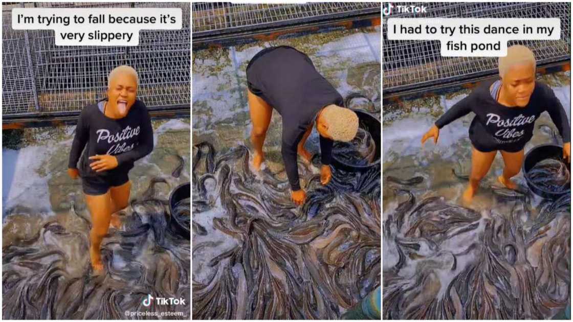 Fish business in Nigerian/happiness in entrepreneurship. Fish business in Nigerian/happiness in entrepreneurship.