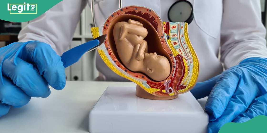 An gano likitan boge da ke zubar wa 'yan mata ciki a Jos, jihar Plateau An gano likitan boge da ke zubar wa 'yan mata ciki a Jos, jihar Plateau