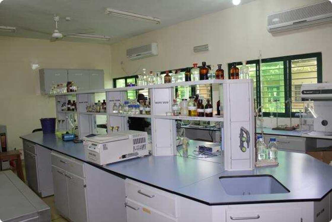 National Veterinary Research Institute National Veterinary Research Institute